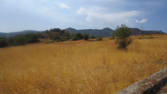 e0212073_1111173.jpg