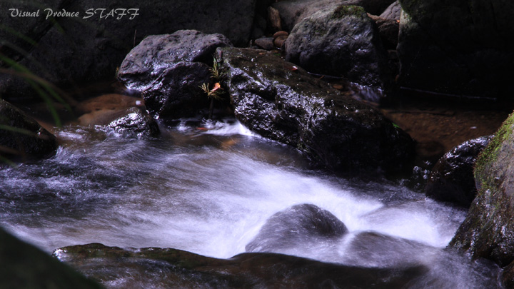 d0223176_9001.jpg