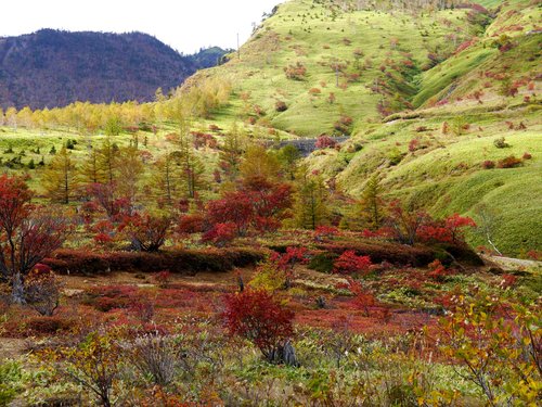 No.0921　紅葉探訪④　草津白根山系・志賀高原_f0104277_7402983.jpg