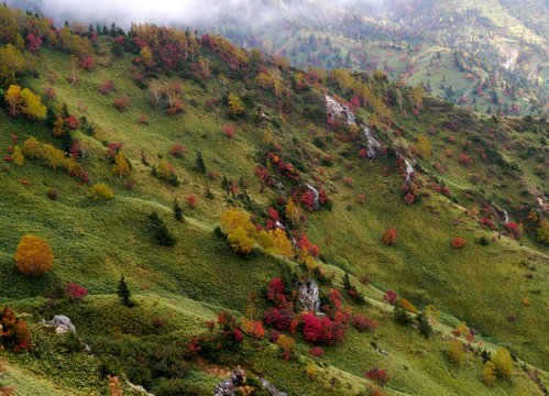 No.0921　紅葉探訪④　草津白根山系・志賀高原_f0104277_7415272.jpg