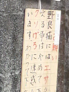 f0228680_949776.jpg