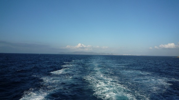 a0278382_432866.jpg