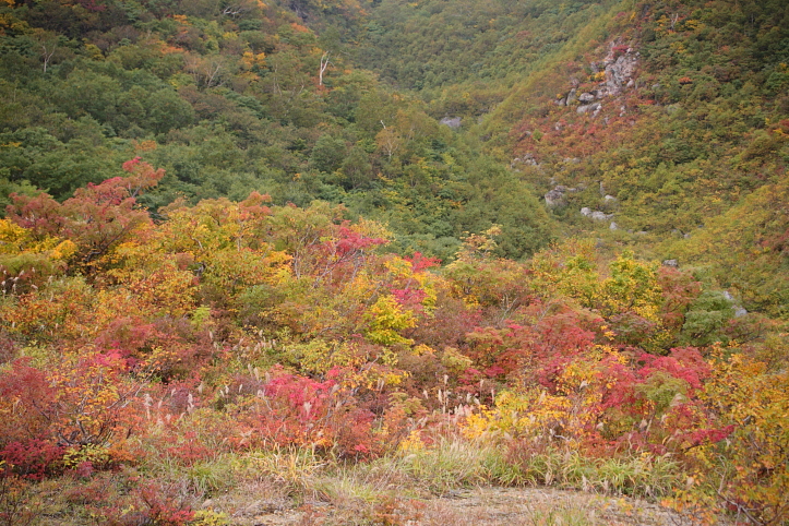 e0165983_13275251.jpg