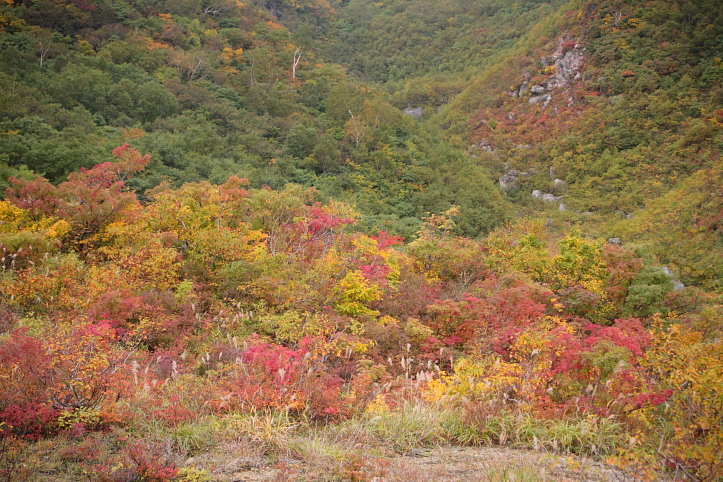 秋田　栗駒山の紅葉　その６_e0165983_13275251.jpg