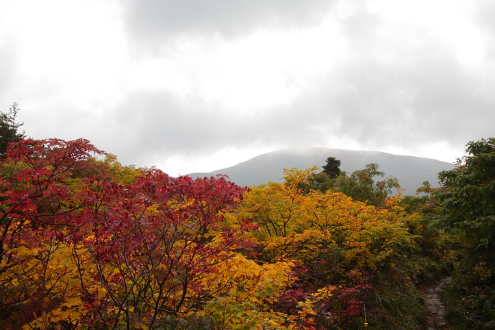 秋田　栗駒山の紅葉　その６_e0165983_1332173.jpg