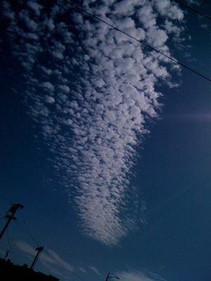 e0183383_3464139.jpg