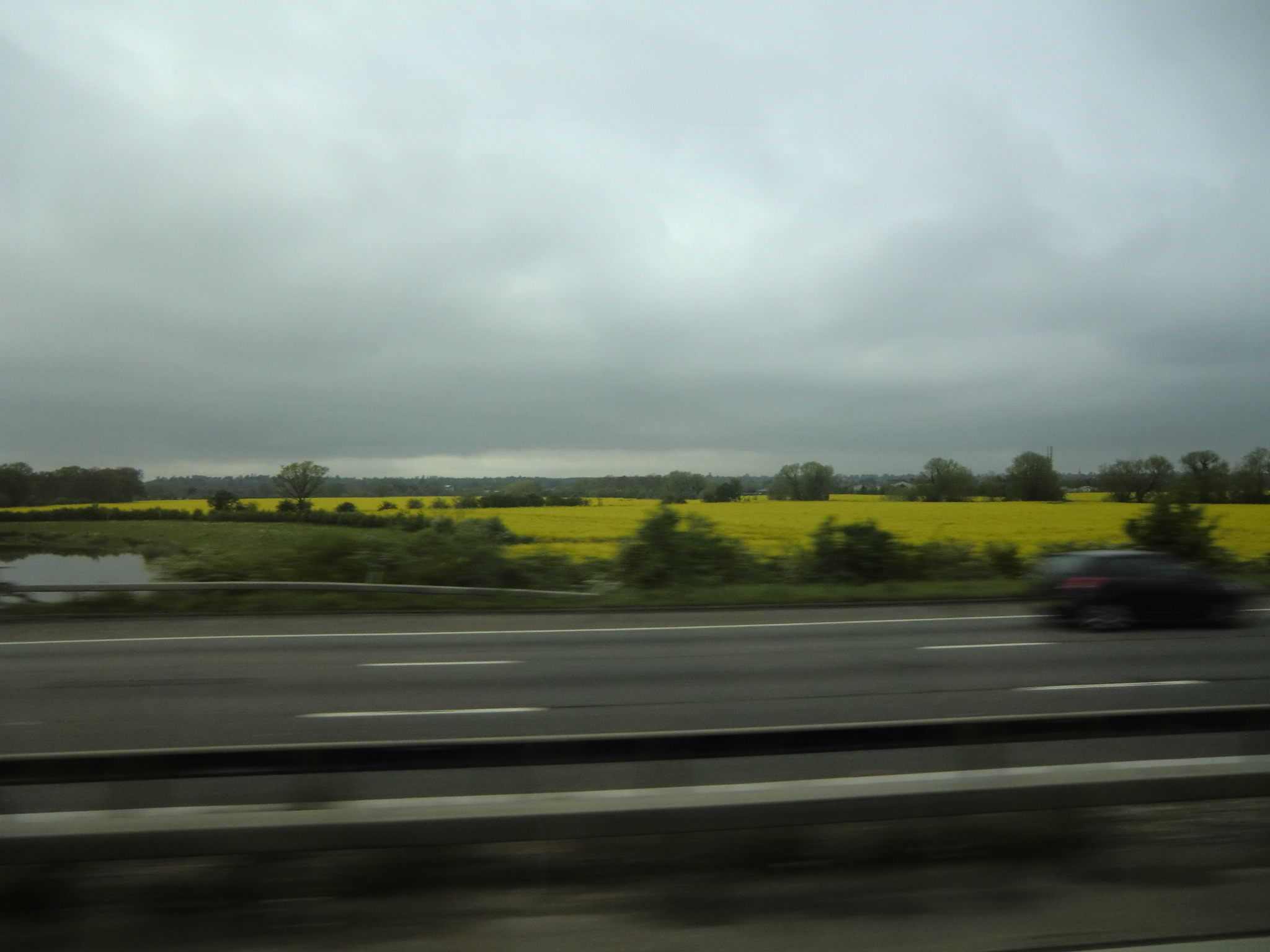 12年5月3日 木 イギリス その2 サイレンセスターcirencester Camino0810 12年5月3日 木 イギリス その2 サイレンセスターcirencester Camino0810