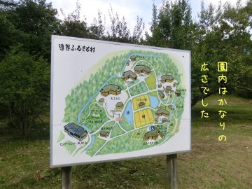 f0205887_16464145.jpg