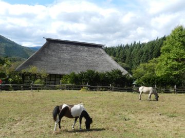 f0205887_17501738.jpg