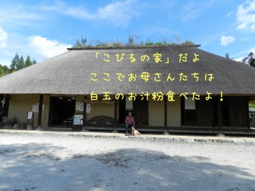 f0205887_17545226.jpg