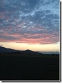 b0211288_20525987.png