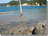 b0211288_20544091.png