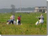 b0211288_20561660.png