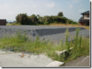 b0211288_20581198.png