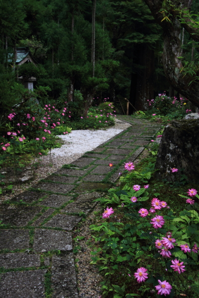 宗蓮寺_e0051888_21255593.jpg