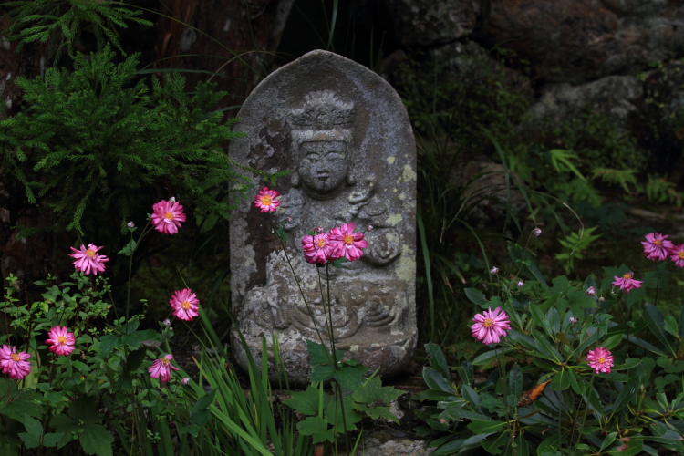 宗蓮寺_e0051888_21262140.jpg