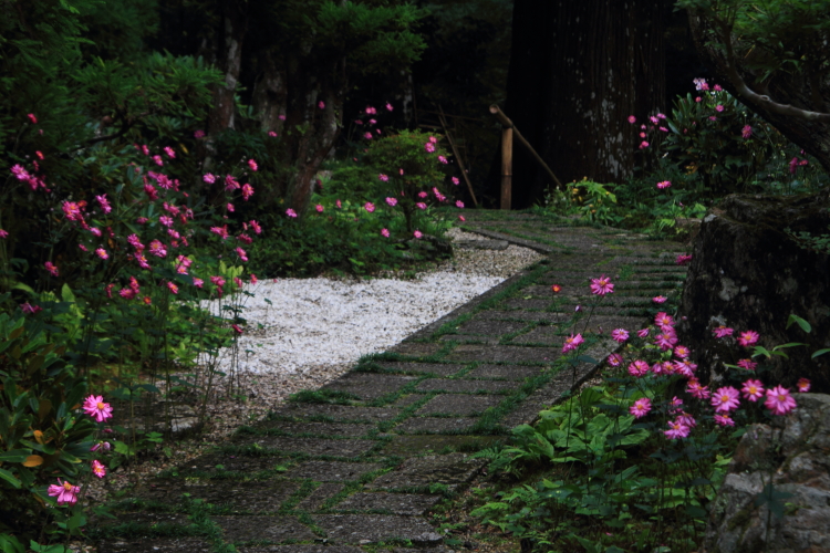 宗蓮寺_e0051888_2126840.jpg