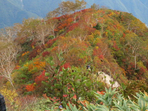 三方崩山(２０５８．８ｍ）　岐阜県_a0104890_0195779.jpg