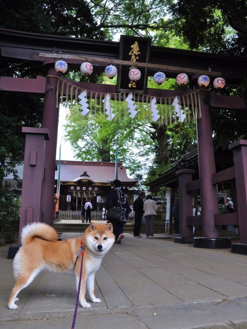 お祭り最終日_a0126590_6584446.jpg