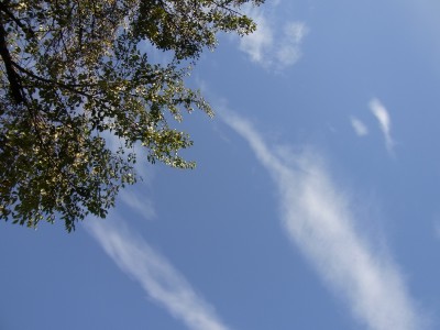 a0158790_13364015.jpg