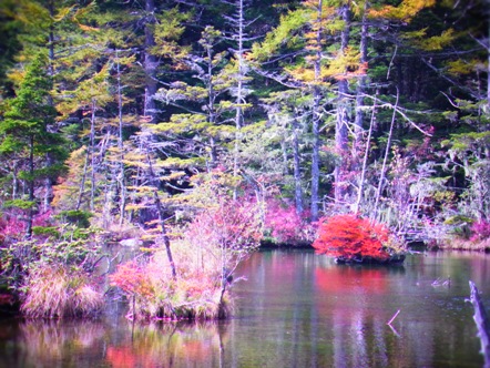 ウォーキング。_a0045293_17422480.jpg