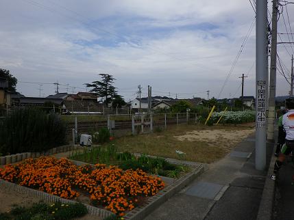 e0048994_1734847.jpg