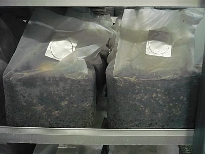 e0198197_15214732.jpg