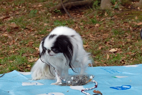 a0155999_0145692.jpg