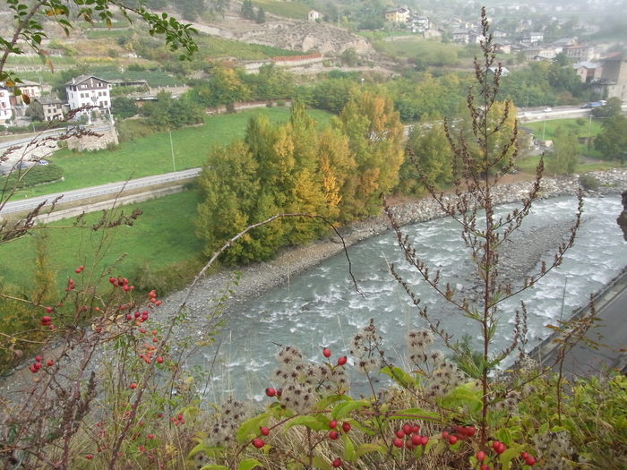 b0246303_002430.jpg