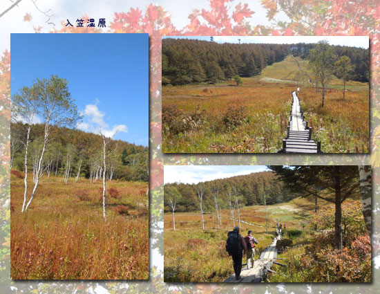 入笠山(2日目) _c0051105_21362731.jpg