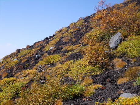 c0242406_1056637.jpg
