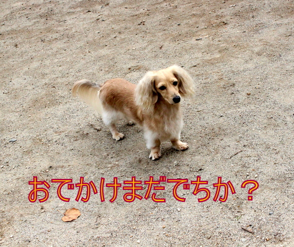 f0224506_2125963.jpg