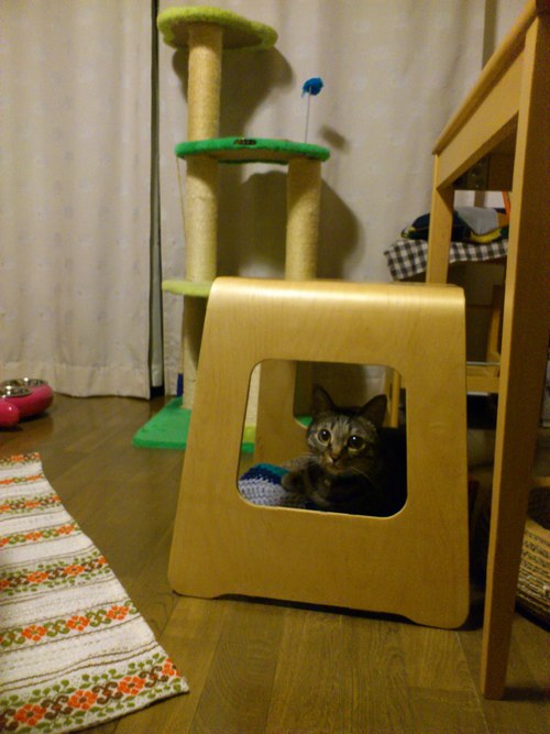 f0235306_1651167.jpg