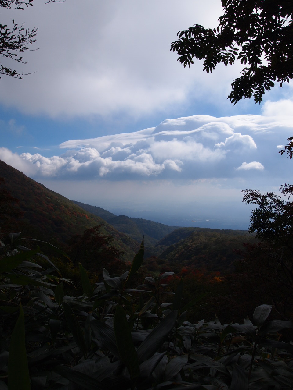 e0252707_7353523.jpg