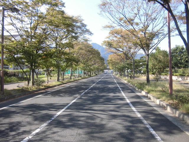 f0141310_830424.jpg