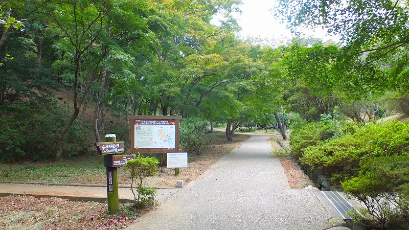 f0182513_2039617.jpg