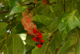 b0238914_1692038.jpg