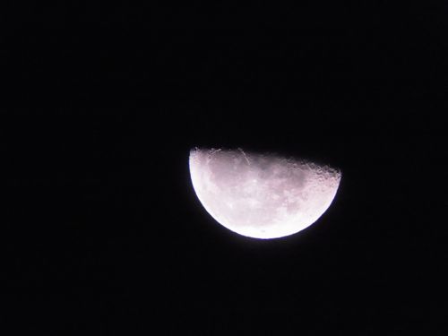 c0188814_736311.jpg