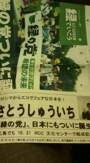 緑の党機関紙・【緑でいこう】をお届け中【参院選2013へ】_e0094315_8255571.jpg