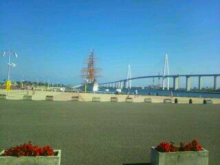 d0098619_1727145.jpg
