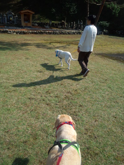 福井県への旅・・・①_c0114121_23114385.png