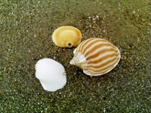 a0134323_13371358.jpg