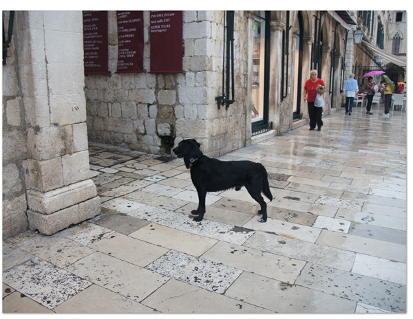 エーゲ海・アドリア海クルーズ(23)　雨のドゥブロヴニク_d0210324_4144131.jpg