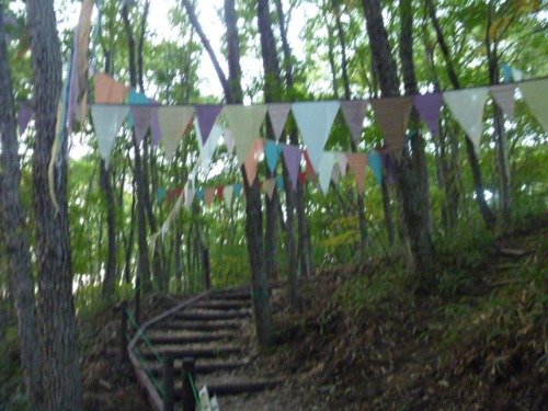 b0174425_1751928.jpg