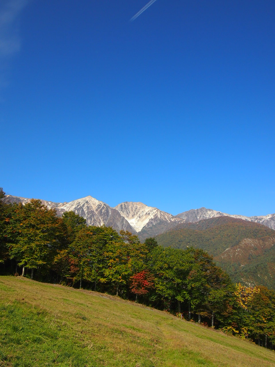 秋の景色と冬の景色 八方尾根便り 八方パトロールブログ