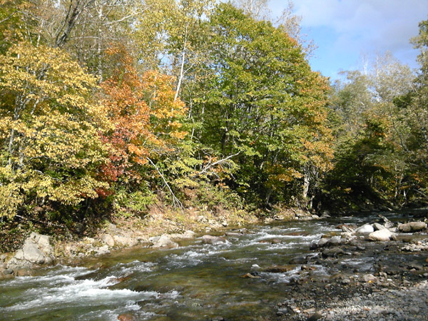 e0037129_9551033.jpg
