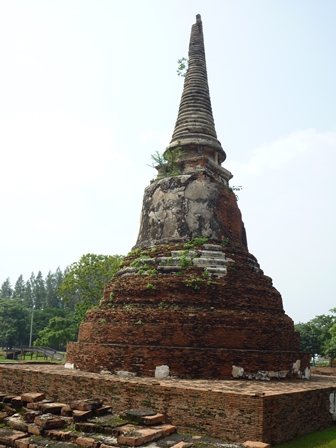 b0226431_21305844.jpg