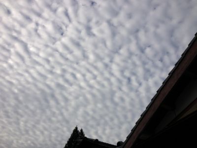 a0243432_8381119.jpg