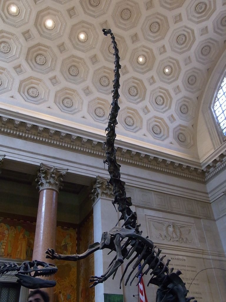 b0275132_22331986.jpg