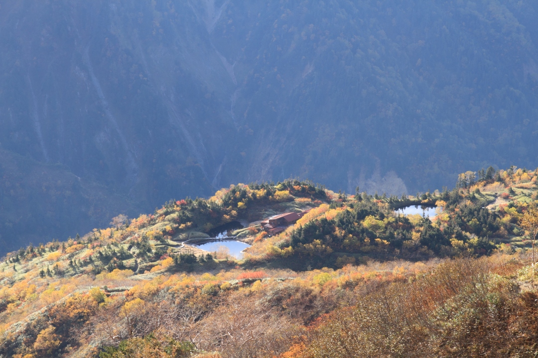 a0203733_21312717.jpg